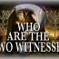 who are the two witnesses