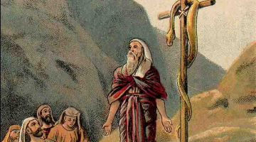 new holy grail featured image