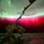 red aurora borealis
