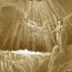 The New Jerusalem : Gustave Dore