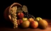 Basket of good fruit