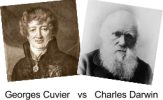 Georges-Cuview-vs-Charles-Darwin