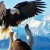 eagles_featured