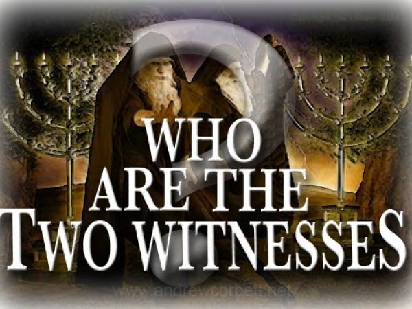 The Two Witnesses