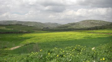 Israel after