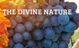 The Divine Nature